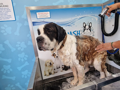 I Love Dog Wash | Algeciras | Peluqueria para perros en Algeciras