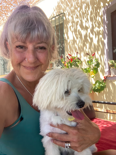 The Shire small dog hotel | Guardería para perros en Estepona