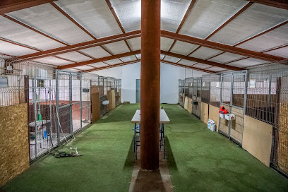 EBRECAN | Adiestradores de perros en Amposta