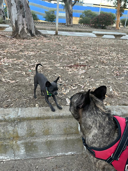 Factor Amigo | Adiestradores de perros en Zaragoza