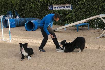 Lealcan | Adiestradores de perros en Madrid