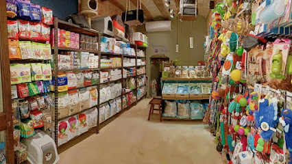 Oh My Gos! | Peluqueria para perros en Barcelona