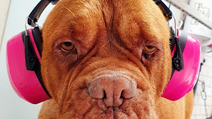 Jodies Groom Room | Peluqueria para perros en San Fulgencio