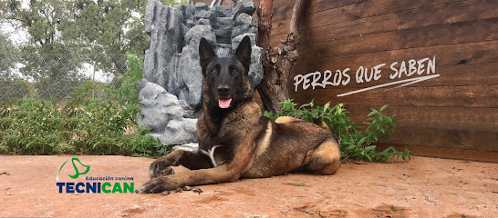Tecnican | Adiestradores de perros en Majadahonda