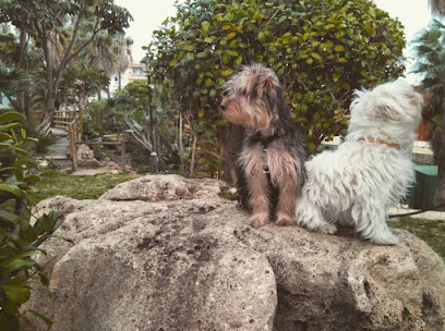 Sunucan | Adiestradores de perros en Fuengirola