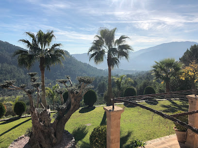 Dogs Luxury Resort | Guardería para perros en Esporles