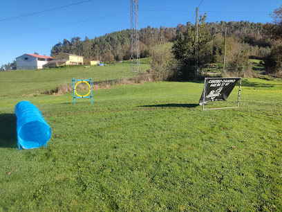 UrbanDog | Adiestradores de perros en Monteagudo
