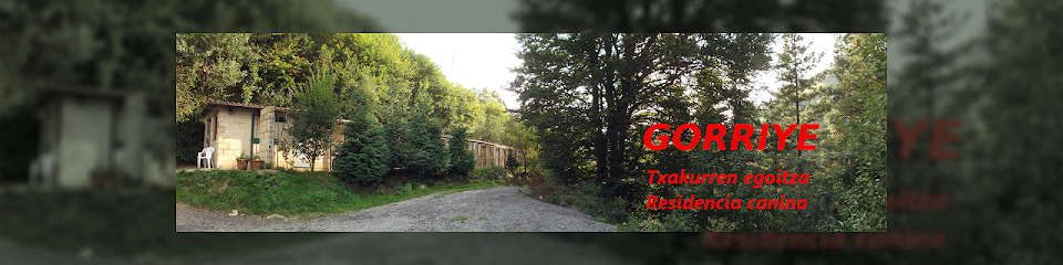 Gorriye | Guardería para perros en Azpeitia