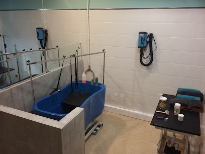 Kiandu y Uma | Peluqueria para perros en Huelva
