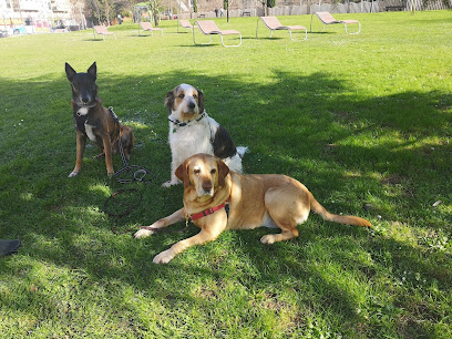 Txakurlove | Adiestradores de perros en Barakaldo