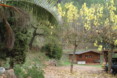 Els Masets | Guardería para perros en Gelida