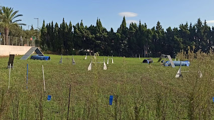 Club Esportiu Ebre Agility | Adiestradores de perros en Tarragona
