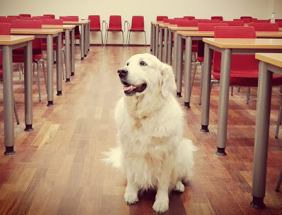 Perruneando Jaen | Adiestradores de perros en Jaen