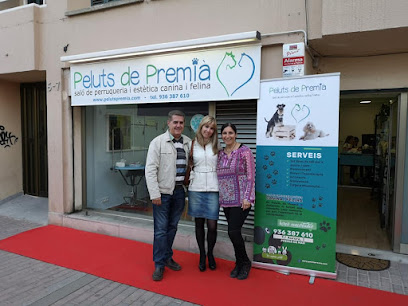 Peluts de Premia | Peluqueria para perros en Premià de Mar