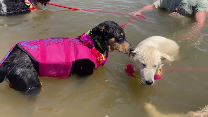Elena en la Costa Brava | Guardería para perros en Regencos