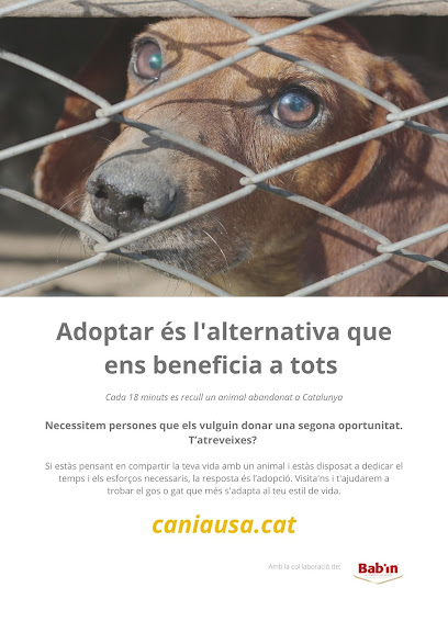 Cani Ausa | Taradell