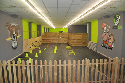 K9 Dog Academy | Adiestradores de perros en Lleida