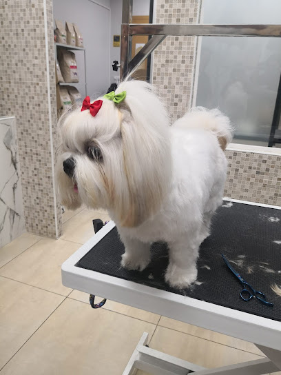 Amy | Peluqueria para perros en Coslada