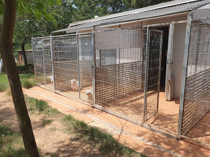Vilamarxant | Guardería para perros en Villamarchante