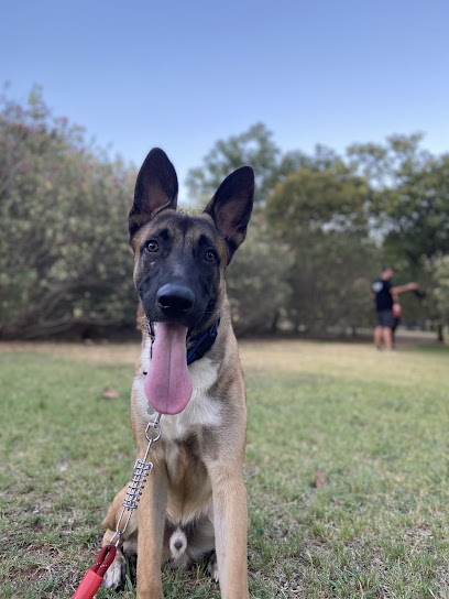 BroCan | Adiestradores de perros en Sevilla