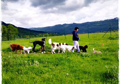 Basajaun | Guardería para perros en Arbizu