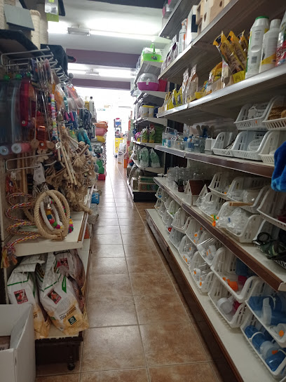 Don Animal | Guardería para perros en La Cala del Moral