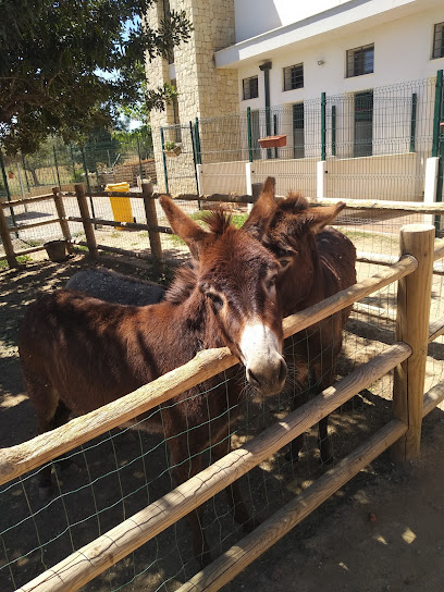 La Villa Hotel Canino | Guardería para perros en Valencia
