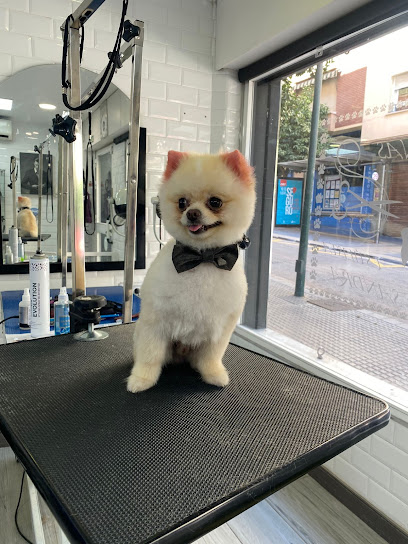 Tijeras Caninas | Peluqueria para perros en Málaga