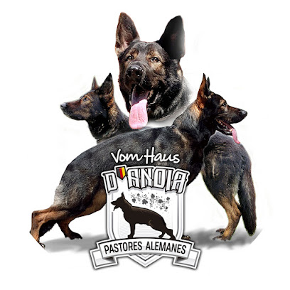 Bonsgossos | Adiestradores de perros en Can Claramunt