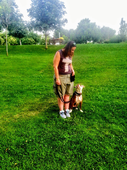 Perriterapia | Adiestradores de perros en Alcala de Henares