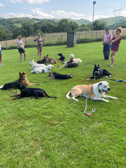 El Xelan | Guardería para perros en El Xelan