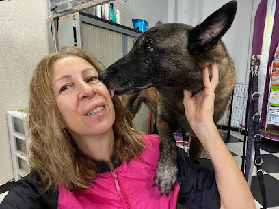 Mimadog | Peluqueria para perros en Alicante