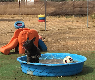 Villa-Can | Guardería para perros en Villablanca