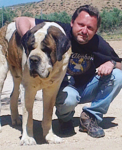 El Adiestradog | Adiestradores de perros en Ciempozuelos