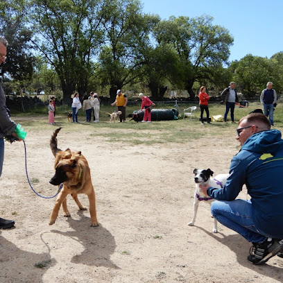 La Tejera | Adiestradores de perros en Galapagar