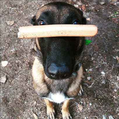 Cadelo | Adiestradores de perros en Vigo