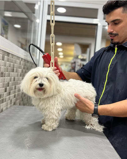 Animal Style Napols | Peluqueria para perros en Barcelona