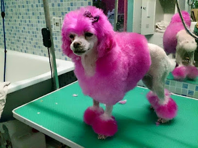 Natasha | Peluqueria para perros en Fuengirola