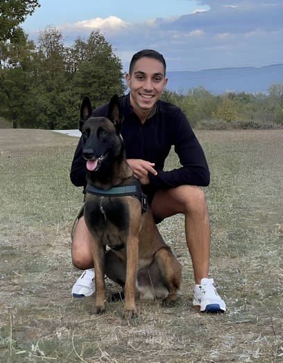 Mas Que Adiestramiento | Adiestradores de perros en Vitoria-Gasteiz