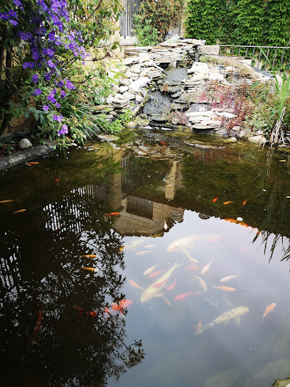 Dog Garden Centro Canino | Guardería para perros en Movera