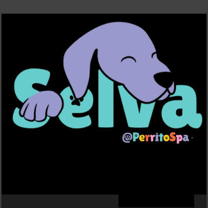 PerritoSpa | Guardería para perros en Valencia
