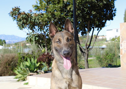 CruzCan | Guardería para perros en Alhaurin el Grande