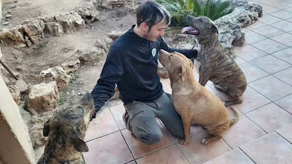 Ramon Piqueres | Adiestradores de perros en Alberic