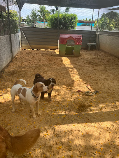 Pet Jilton Club | Guardería para perros en Bollullos de la Mitacion