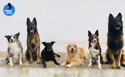 EmpireDog | Adiestradores de perros en San Bartolome