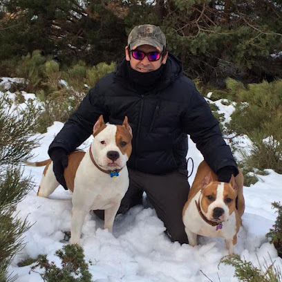 Luife | Adiestradores de perros en Paracuellos de Jarama