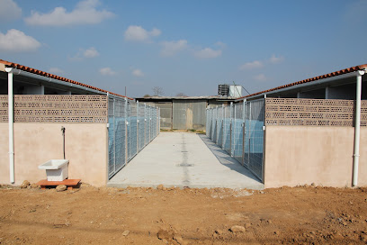 RALC | Guardería para perros en La Canonja