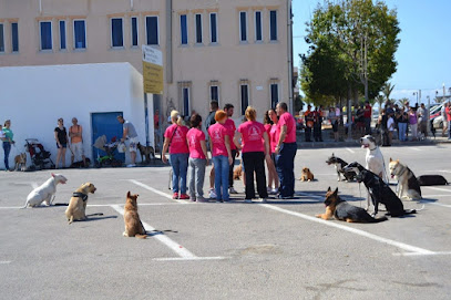 Deanacaona | Adiestradores de perros en San Javier