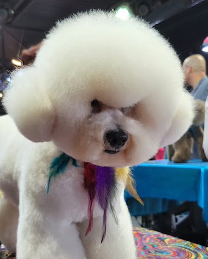 Peluts Bdn | Peluqueria para perros en Badalona