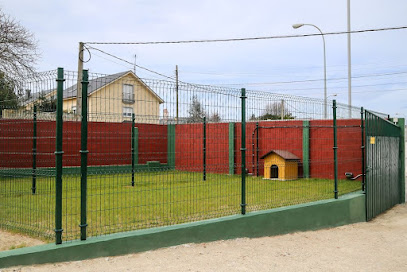 Amigos de Nico | Guardería para perros en Ribadeo